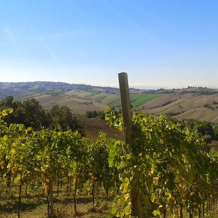 Agriturismo Le Vigne فيرمو المظهر الخارجي الصورة