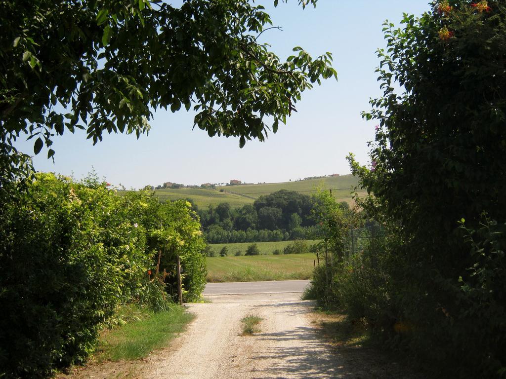 Agriturismo Le Vigne فيرمو المظهر الخارجي الصورة