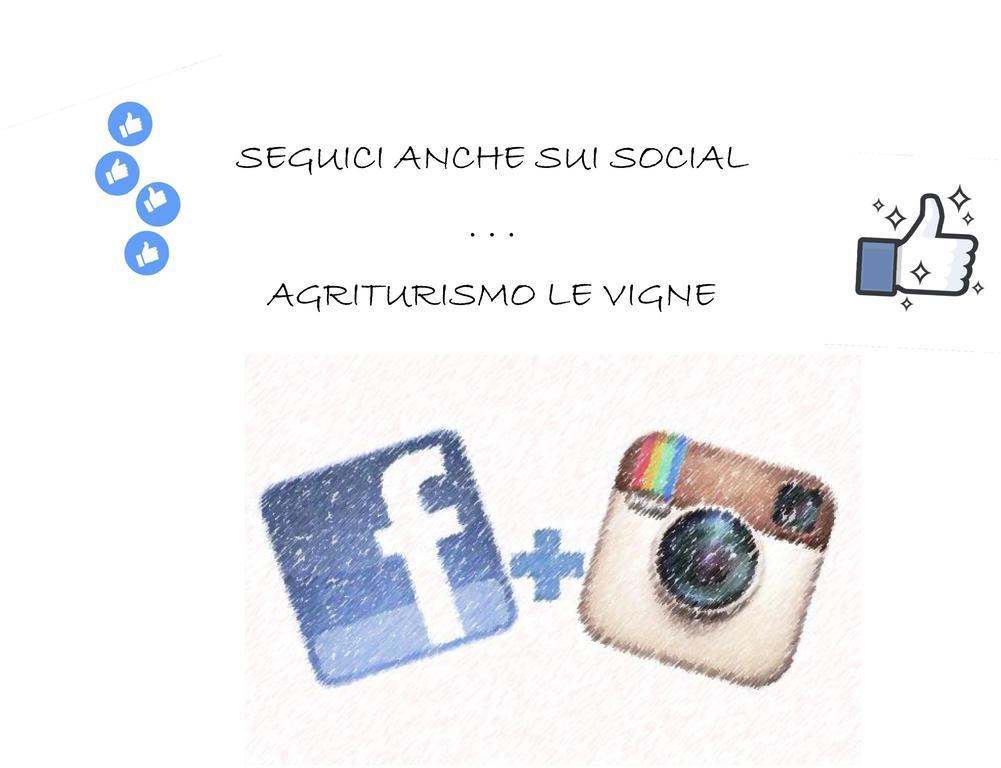 Agriturismo Le Vigne فيرمو المظهر الخارجي الصورة