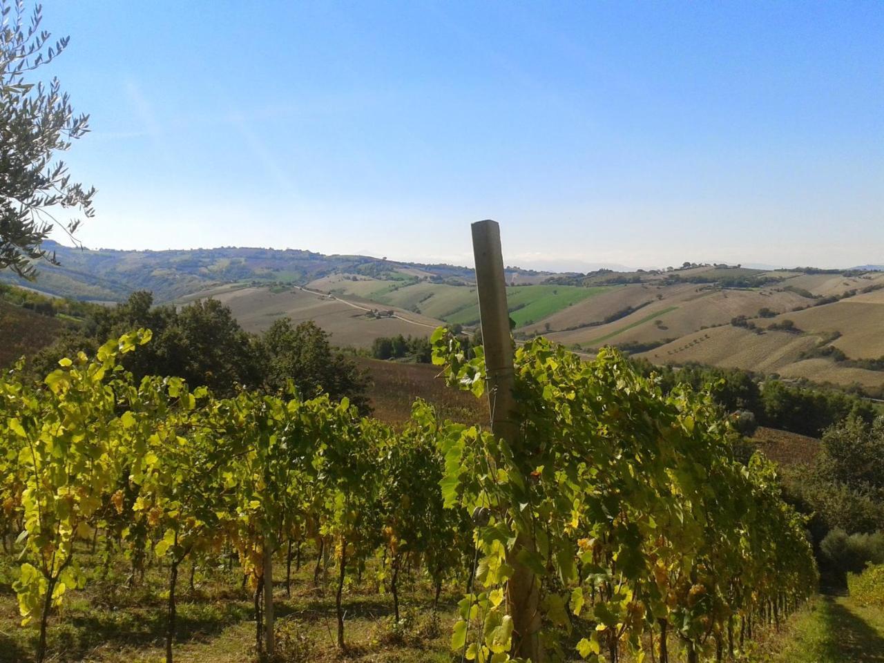 Agriturismo Le Vigne فيرمو المظهر الخارجي الصورة